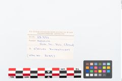 Etikett zu Bimetallantennendolch (NHMW-PRAE-025977)
